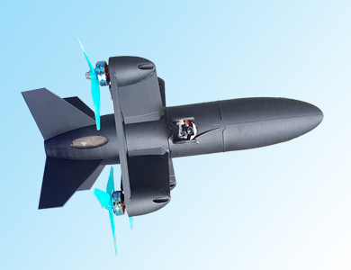 Loitering Munition